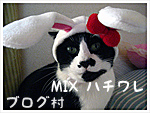 応援ありがとうございます。