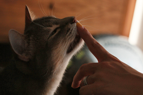 130713_7.jpg